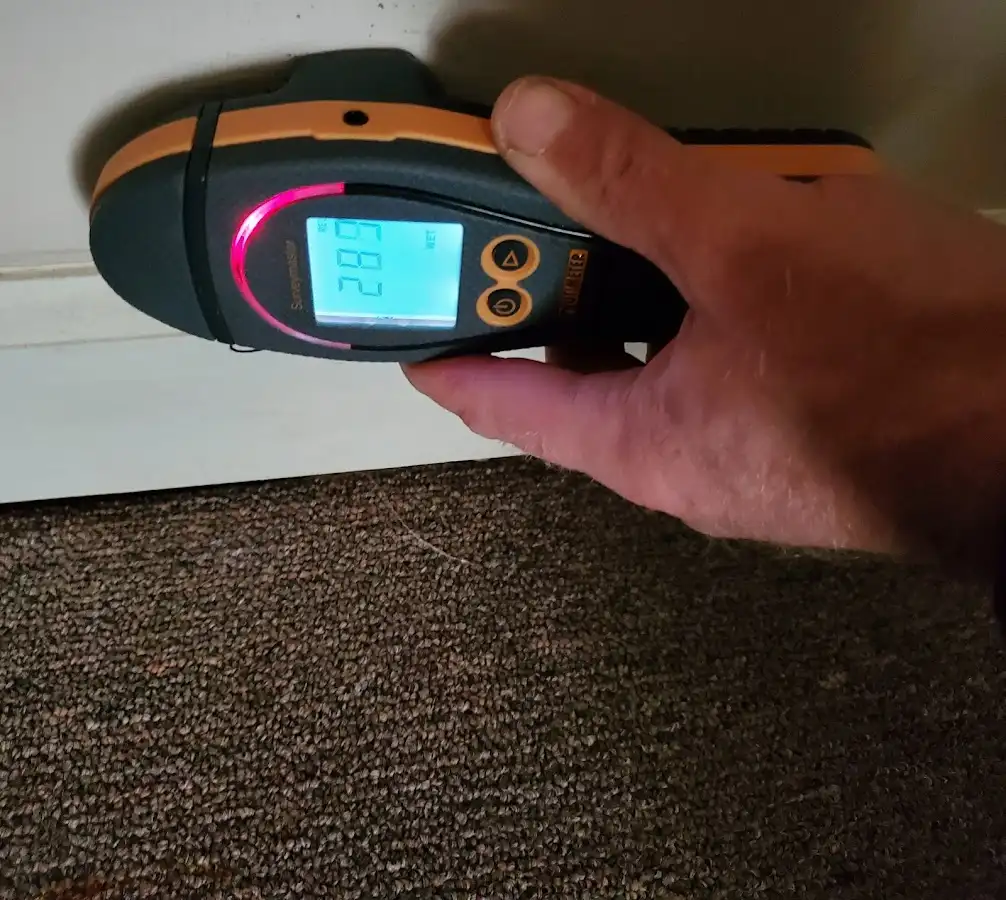 Moisture detection at baseboard during Sewage Cleanup & Sanitation in Davidson